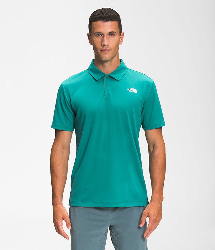 Camiseta The North Face Hombre Verde Wander Polo 86724LAEZ